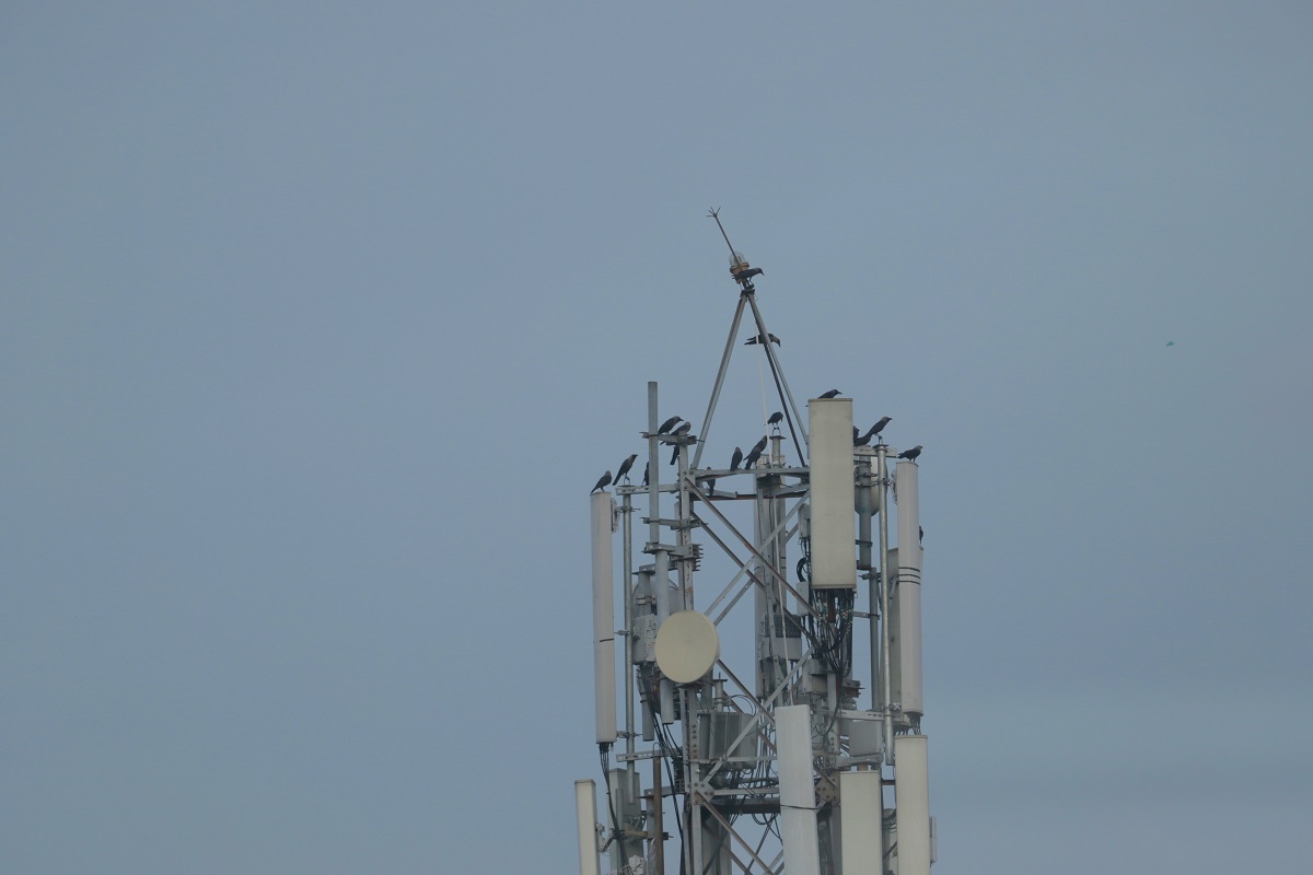 Antena për rrjetin 5G, foto nga RP M / Unsplash