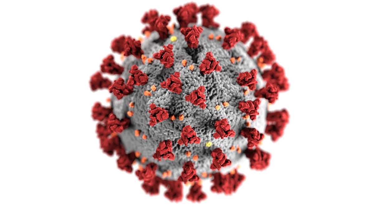 Virusi korona, coronavirus,. Foto: CDC: https://www.pexels.com/photo/coronavirus-3992933/