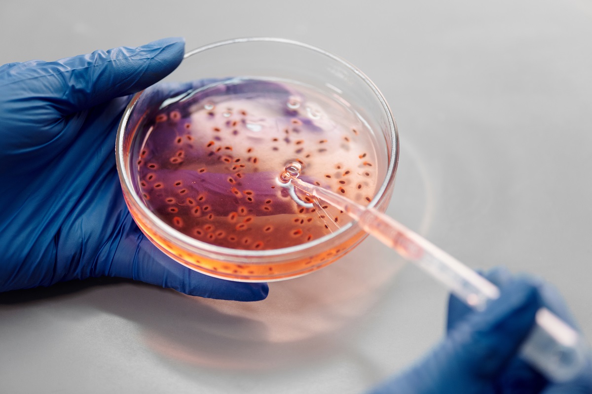 Bakterie, laborator. Foto nga Edward Jenner/Pexels