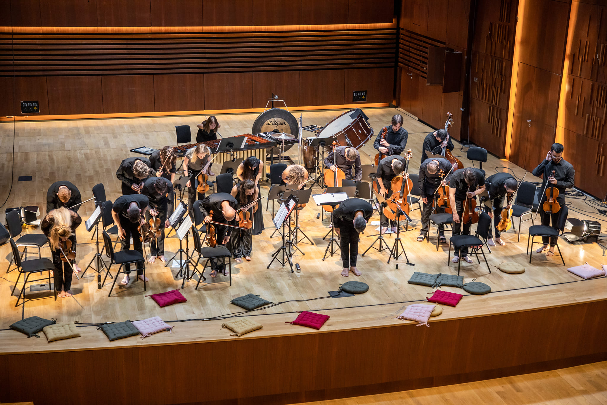No Borders Orchestra, nisma kulturore që fitoi çmimin “Kampione e bashkëpunimit rajonal Dr Erhard Busek“. Foto nga No Borders Orchestra (Facebook)