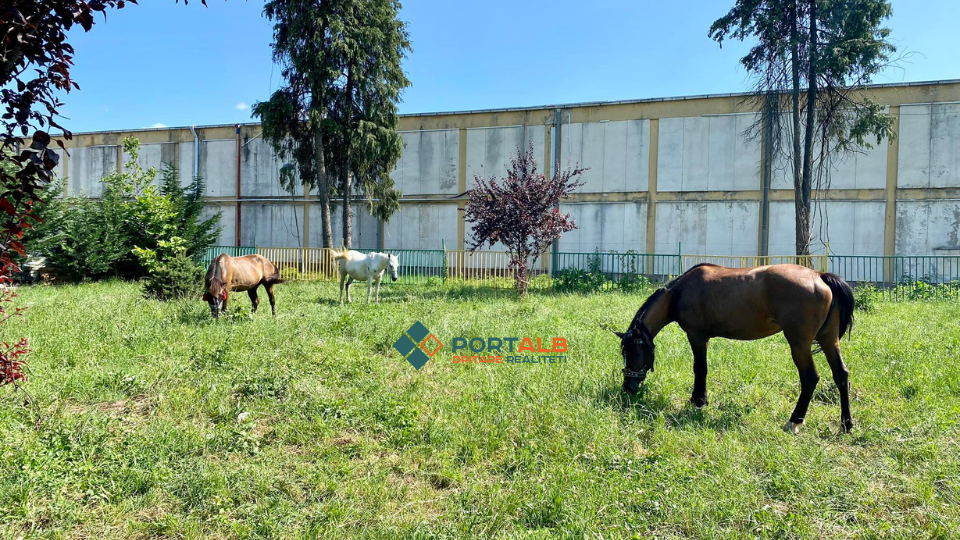 Kuajt te Skejtparku në Tetovë (3 korrik 2023). Foto: Fisnik Xhelili/Portalb.mk