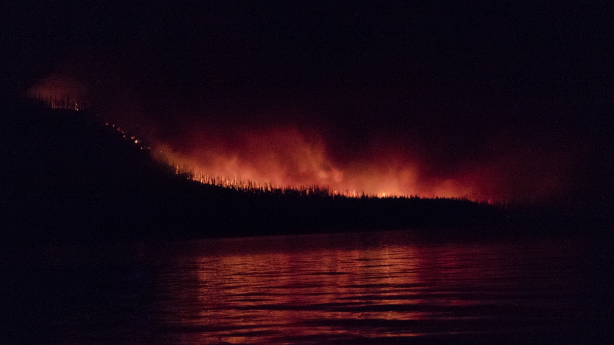 Zjarr në pyje, Foto: Traeton Duty në Canva