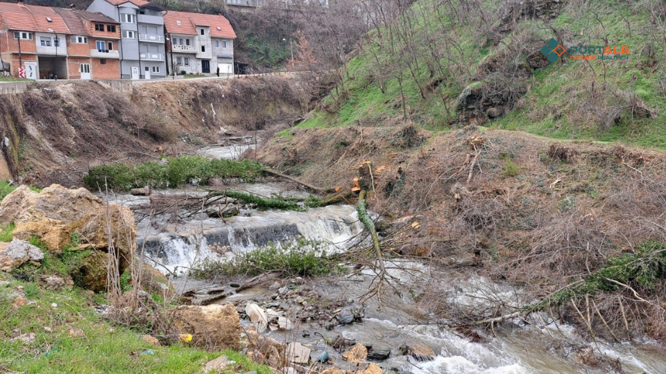 Drutë e prerë përgjatë Lumit Shkumbin në drejtim të Banjës së Tetovës. Foto: Portalb.mk
