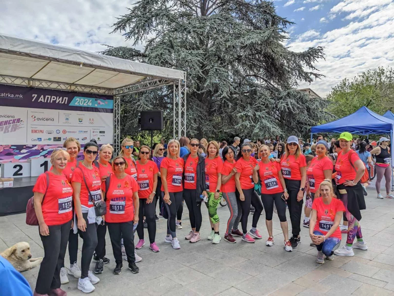 Gratë përmes garës së vrapit në mbështetje të grave me sklerozë të shumëfishtë. Foto: Shoqata Kombëtare për Ndihmë dhe Mbështetje të Personave me Sklerozë të Shumëfishtë