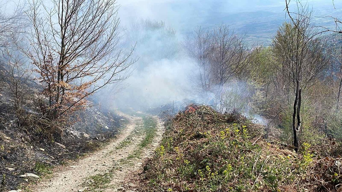 Zjarr në fshatin Sellcë, Foto: Parku Kombëtar "Mali Sharr"