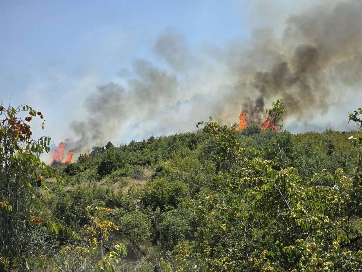 Zjarr. Foto: QMK