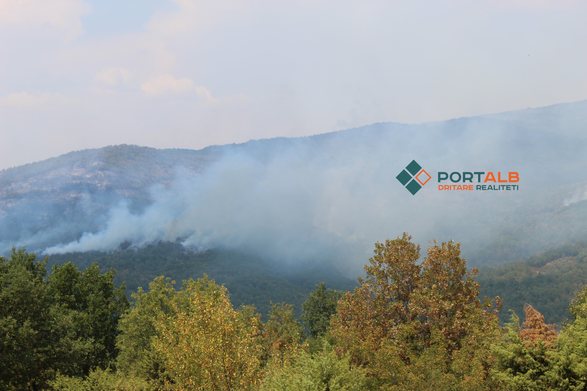 Zjarre të lokalizuara. Foto nga Teuta Buçi - Portalb.mk