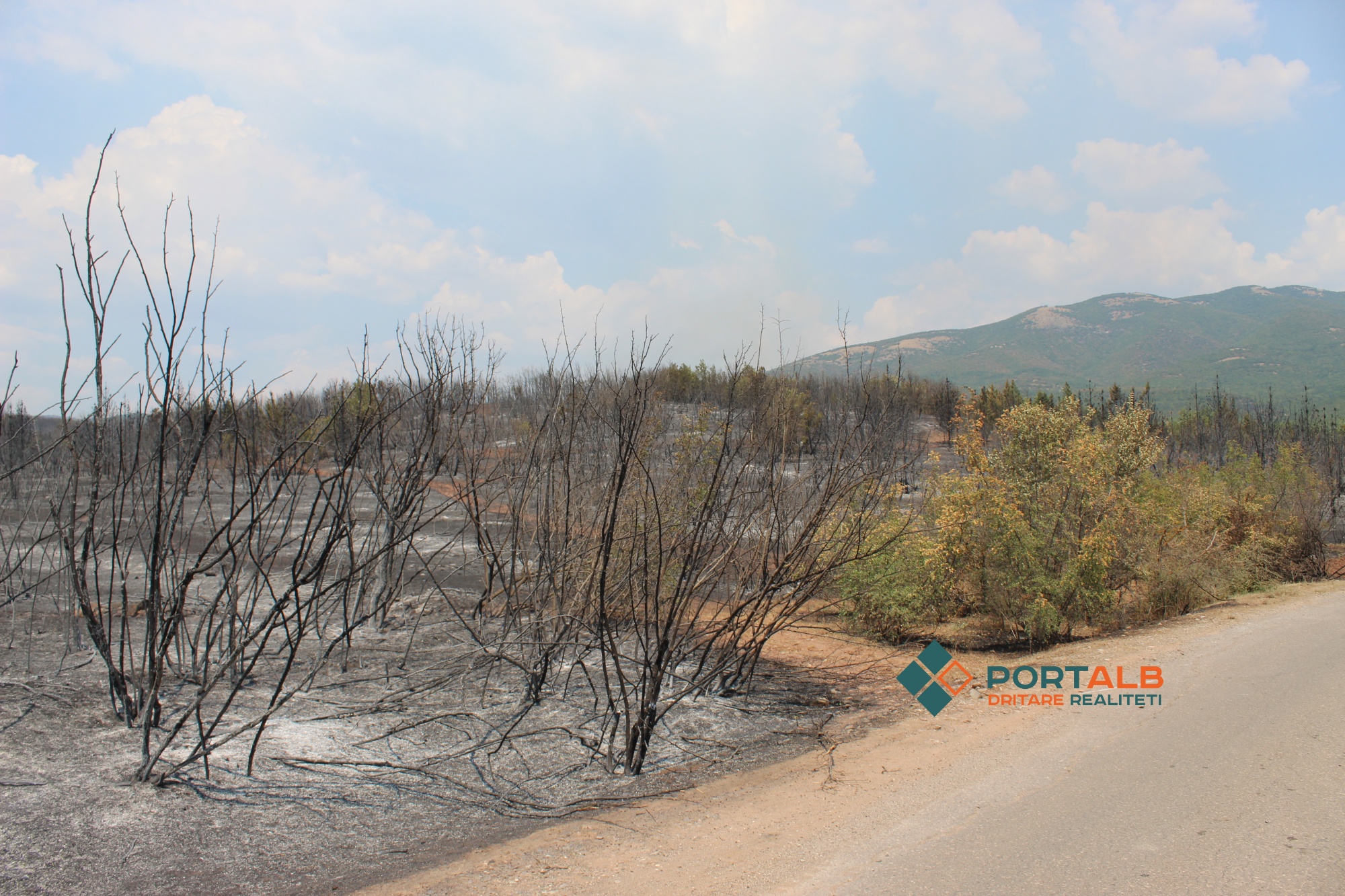 Pasoja nga zjarret. Foto nga Teuta Buçi - Portalb.mk